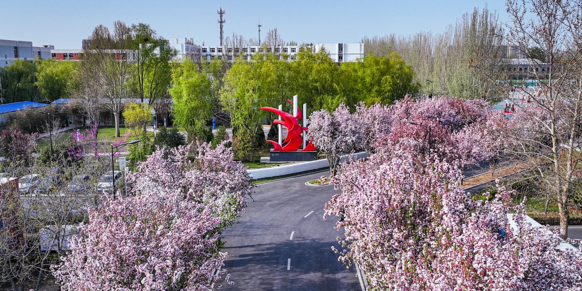 燕京理工学院校花海棠和扬帆广场 燕京理工学院校花海棠和扬帆广场_fororder_燕京理工学院校花海棠和扬帆广场