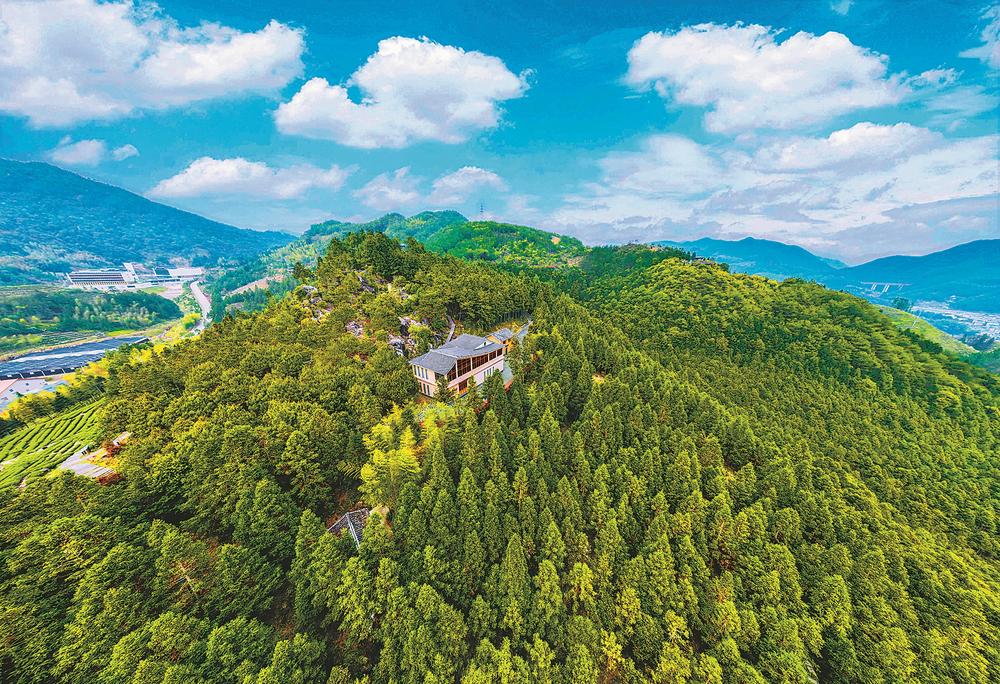 福建周宁:一片林蹚出一条生态致富路_fororder_265c1d71-47ec-4601-b686-e98be9a00cc4