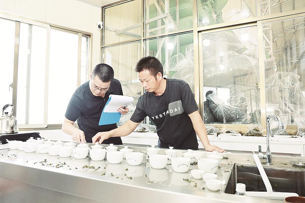 漳州华安茶林乡:“包种包收” 实现共同增收_fororder_52be897a-e898-485f-ad79-450b6038630a