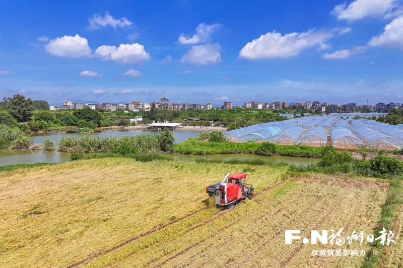 福州特色现代农业迈上新台阶