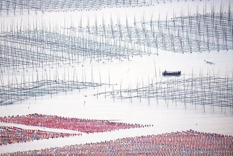 福建霞浦海上秋耕图_fororder_6dd29c9d-e1f4-447e-bf24-9d513a763b4f