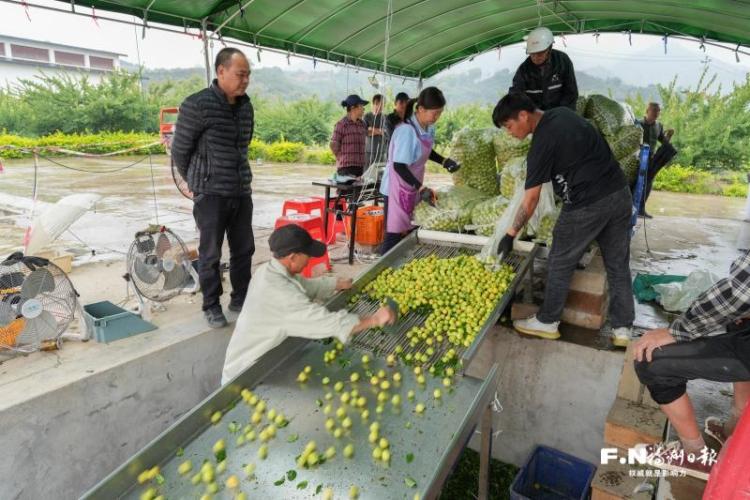 福州永泰:沉睡资产活起来 村民腰包鼓起来