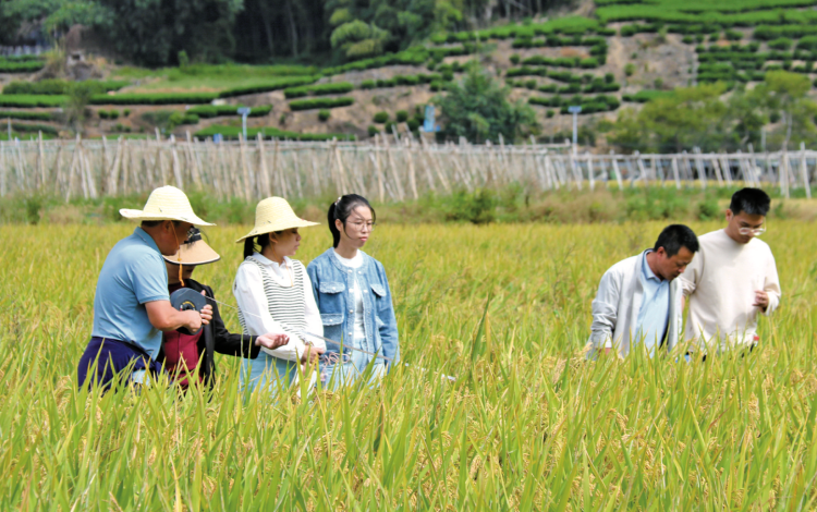 宁德福鼎:田间课堂传“粮”策_fororder_截屏2025-11-03 09.12.03