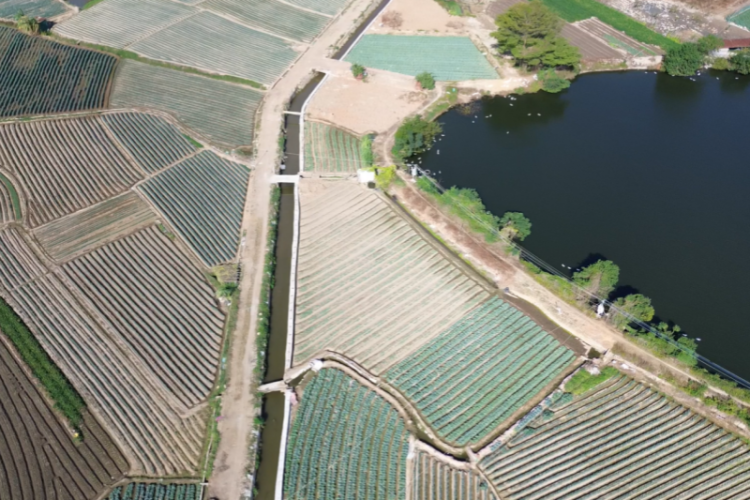 漳州市灌区改造取得成效 改善灌溉面积44.58万亩_fororder_图片1_副本