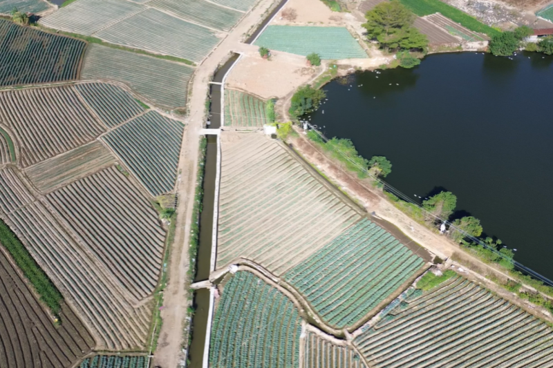 漳州市灌区改造取得成效 改善灌溉面积44.58万亩_fororder_图片1_副本