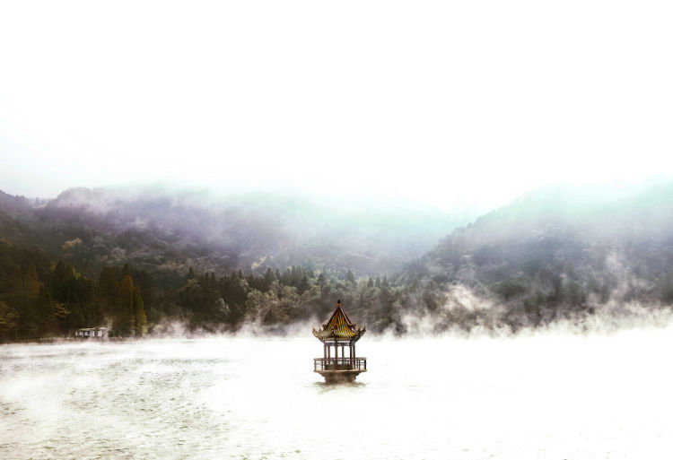 以镜头为媒,共绘“天下悠”之境——“让世界看见庐山”国际摄影采风活动侧记