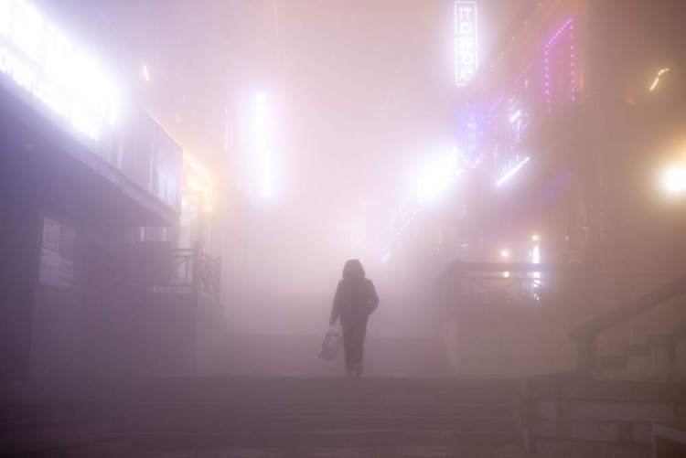 以镜头为媒,共绘“天下悠”之境——“让世界看见庐山”国际摄影采风活动侧记