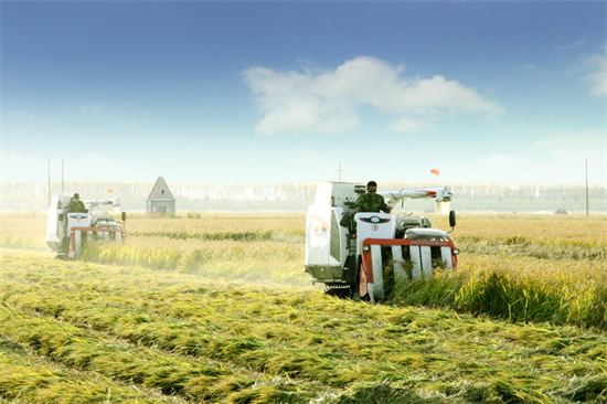 新民市:全年粮食播种逾240万亩 预计产量23亿斤_fororder_杨薇新民2