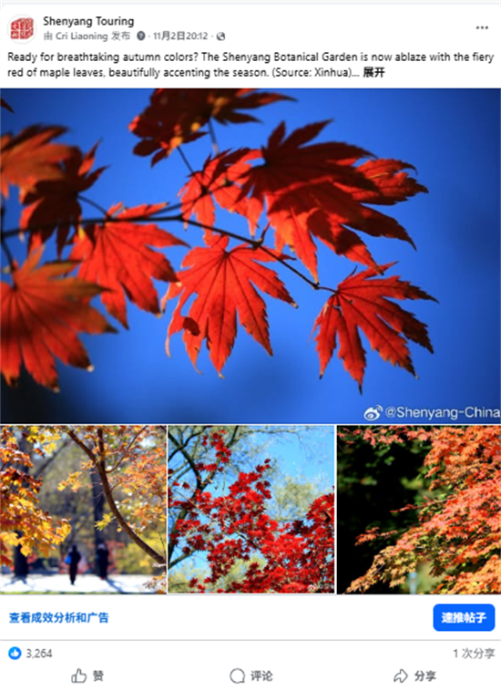 沈阳文旅如何“圈粉”海外?美食、白瓷与秋色引爆海外社交媒体_fororder_文旅海外9