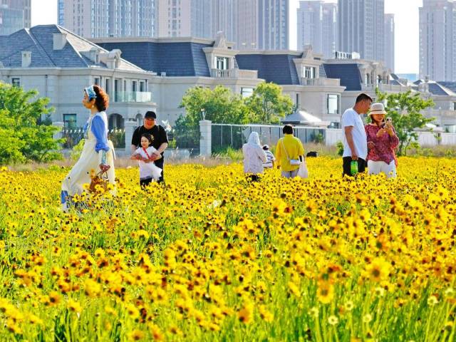 大连：盛夏花开游人醉