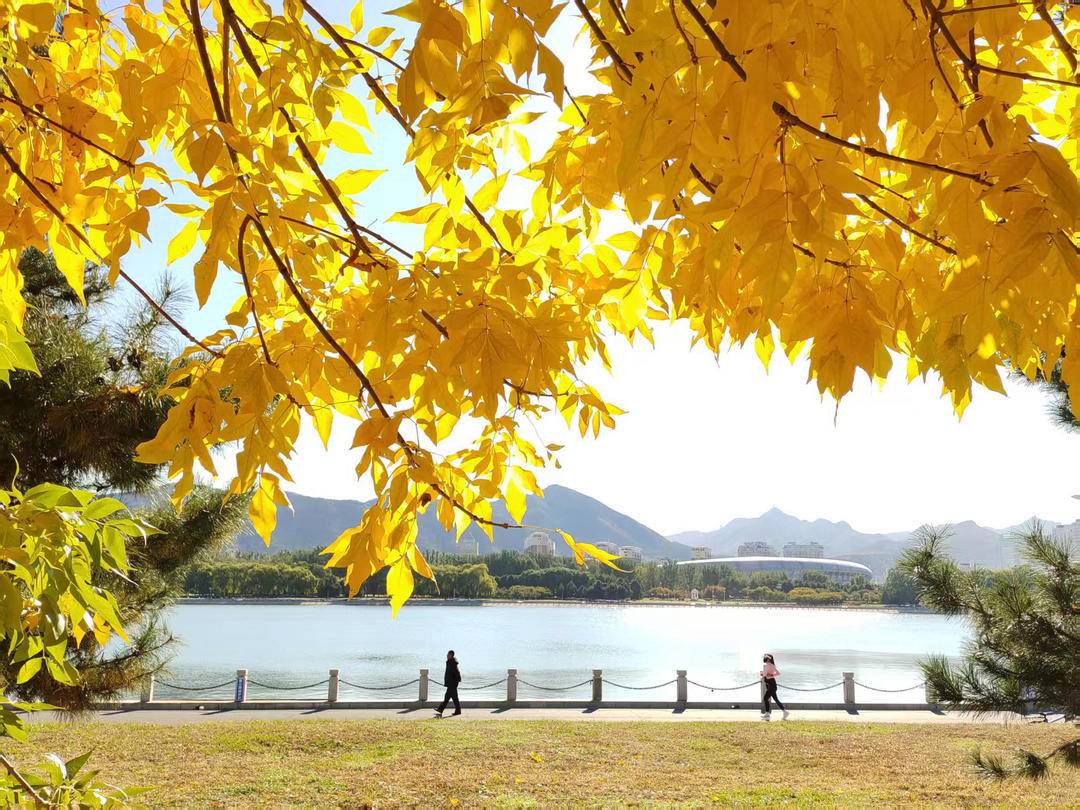 朝阳,一城秋色动人心!