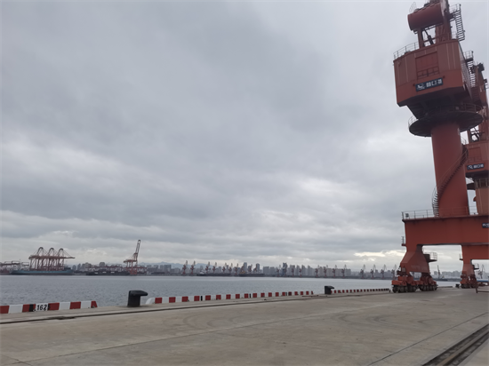 营口市人大激活代表智库 聚力港产城融合 赋能高质量发展_fororder_王江宁图