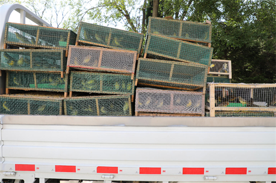 涉案价值超千万元!大连市公安局普兰店分局破获特大案件_fororder_普兰店鸟4