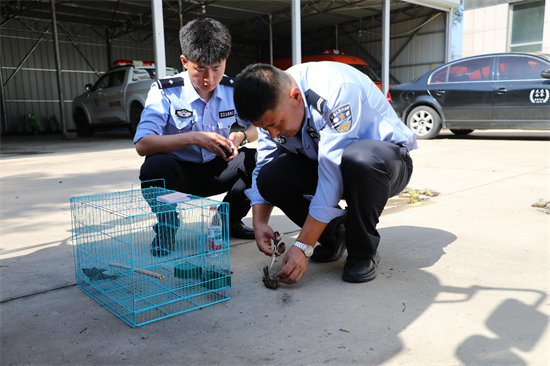 涉案价值超千万元!大连市公安局普兰店分局破获特大案件_fororder_普兰店鸟1