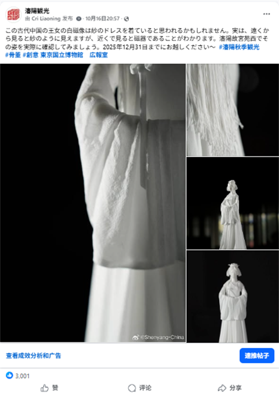 沈阳文旅如何“圈粉”海外?美食、白瓷与秋色引爆海外社交媒体_fororder_文旅海外4