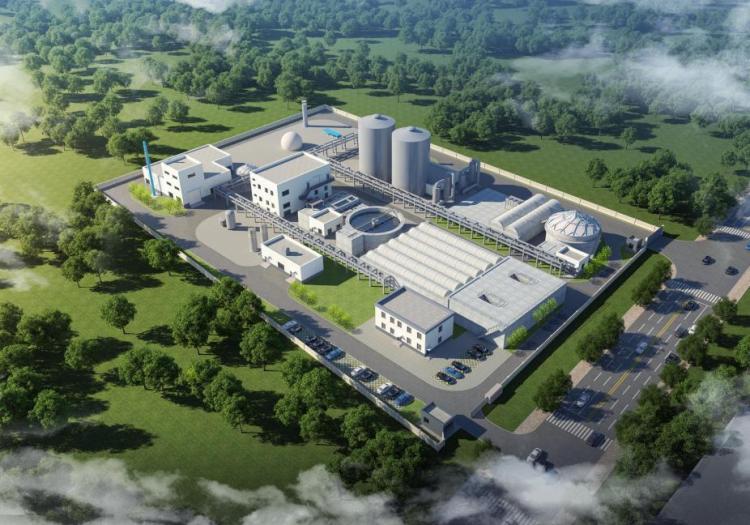 辽中肉牛粪污资源化:“变废为宝”的绿色传承