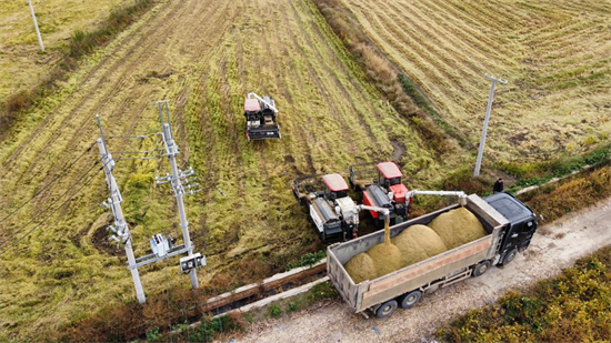 新民市:全年粮食播种逾240万亩 预计产量23亿斤_fororder_杨薇新民3