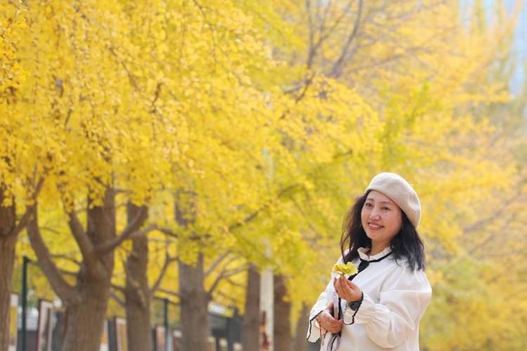 秋日限定款,漫天飞舞的金色浪漫