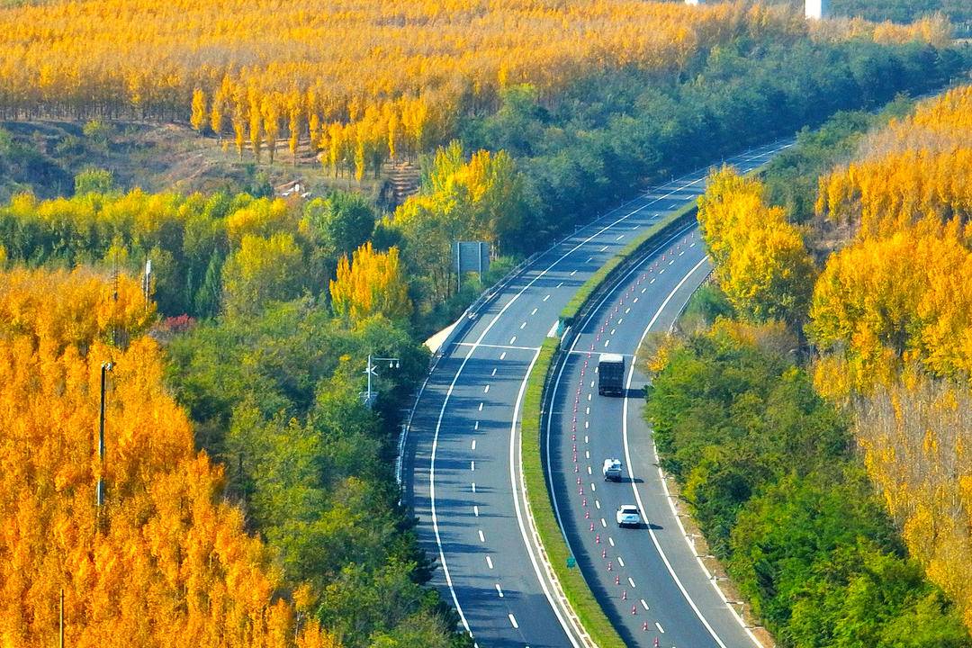 飘在“高速路”上的秋,忒美了吧!