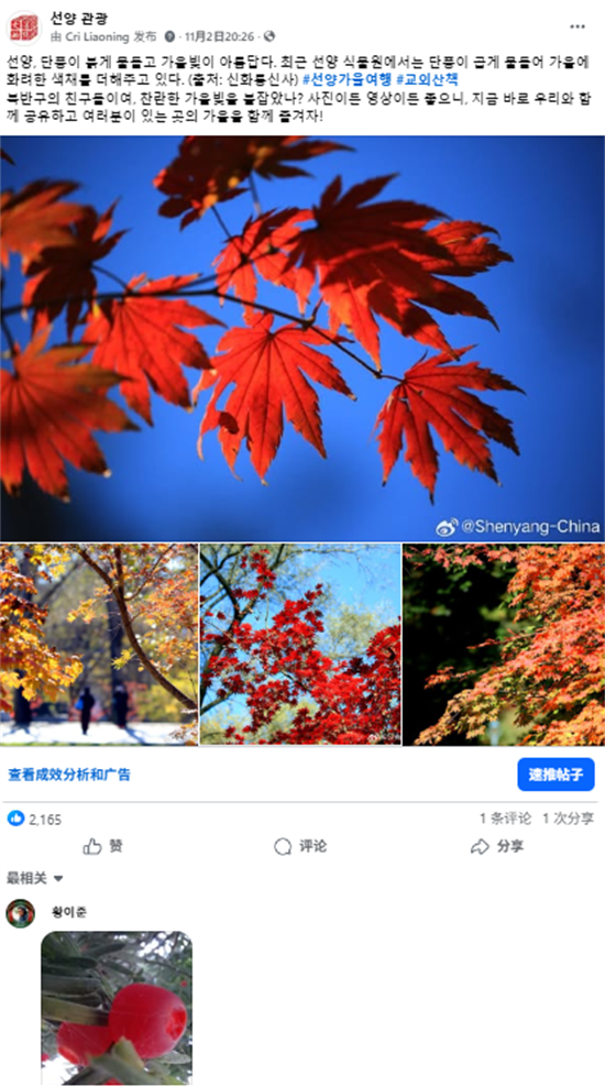 沈阳文旅如何“圈粉”海外?美食、白瓷与秋色引爆海外社交媒体_fororder_文旅海外8