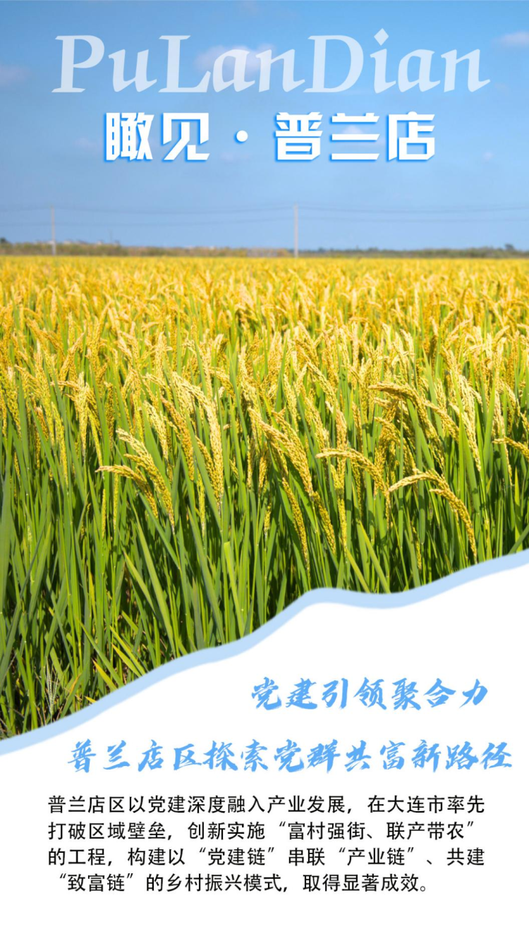 图说·普兰店 | 党建引领聚合力 普兰店区探索党群共富新路径_fororder_普兰店系列1