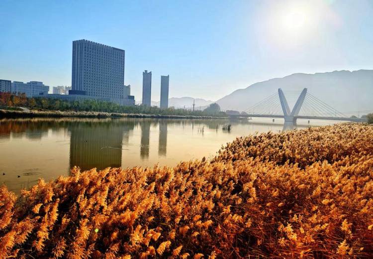 朝阳,一城秋色动人心!