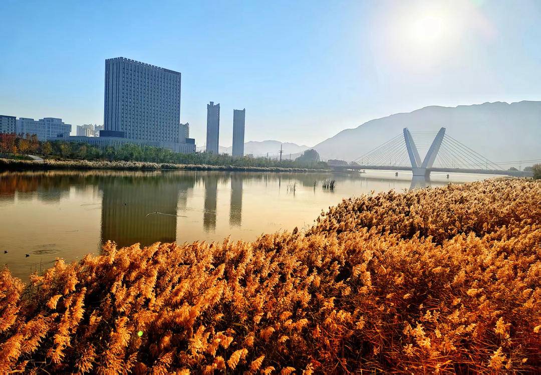 朝阳,一城秋色动人心!