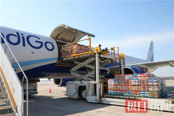 印度冰鲜鲳鲳鱼“飞”抵鄂州花湖机场_fororder_7d7e61061b6e404587876c922e2e5f56