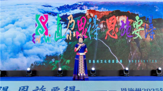 恩施州2025全国旅行商合作大会在汉举行