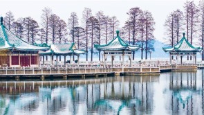 武汉东湖雪景美如画