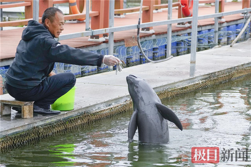 荆江之畔成为“湿地精灵”乐园_fororder_微信图片_2025-10-30_093559_095