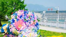 2025年上半年超148萬人游三峽大壩