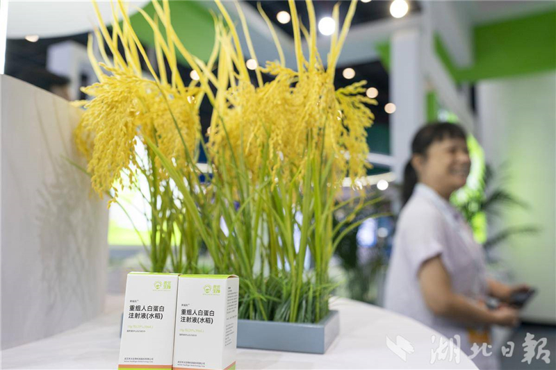湖北六大未来产业全面起势_fororder_fd39b5d4431141e3827baa39c2a53bad