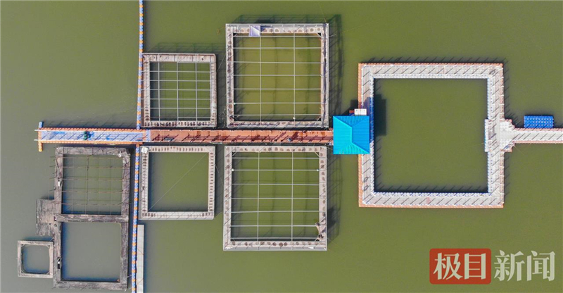 荆江之畔成为“湿地精灵”乐园_fororder_微信图片_2025-10-30_093619_285