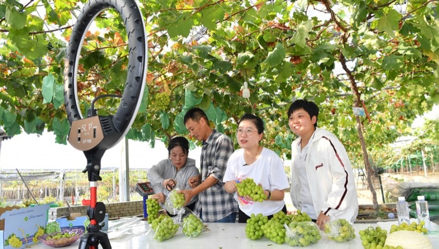 【新思想引领新征程·非凡“十四五”】发展乡村特色产业 推进乡村全面振兴