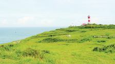 漳州龍海鎮(zhèn)海村：古衛(wèi)海角織就“海之樂章”_fororder_微信截圖_20250318093101