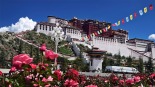 【新思想引领新征程】民族团结之花盛开在雪域高原_fororder_1755611373114_106