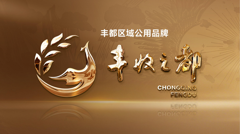 “丰收之都”区域公用品牌首批“爆品矩阵”在渝发布_fororder_mmexport1761028466184