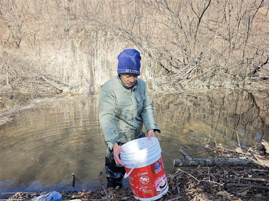 吉林安图永庆乡:林蛙“跃”动山水间 串起一条丰收产业链_fororder_吉林林蛙