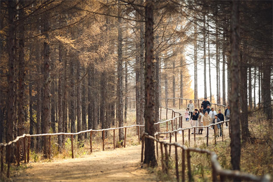 有一种生活叫延吉 在秋日的光影里遇见美好_fororder_图片2