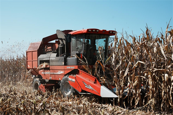 延吉:政策驱动农机升级 玉米秋收高效推进_fororder_吉林农机升级1