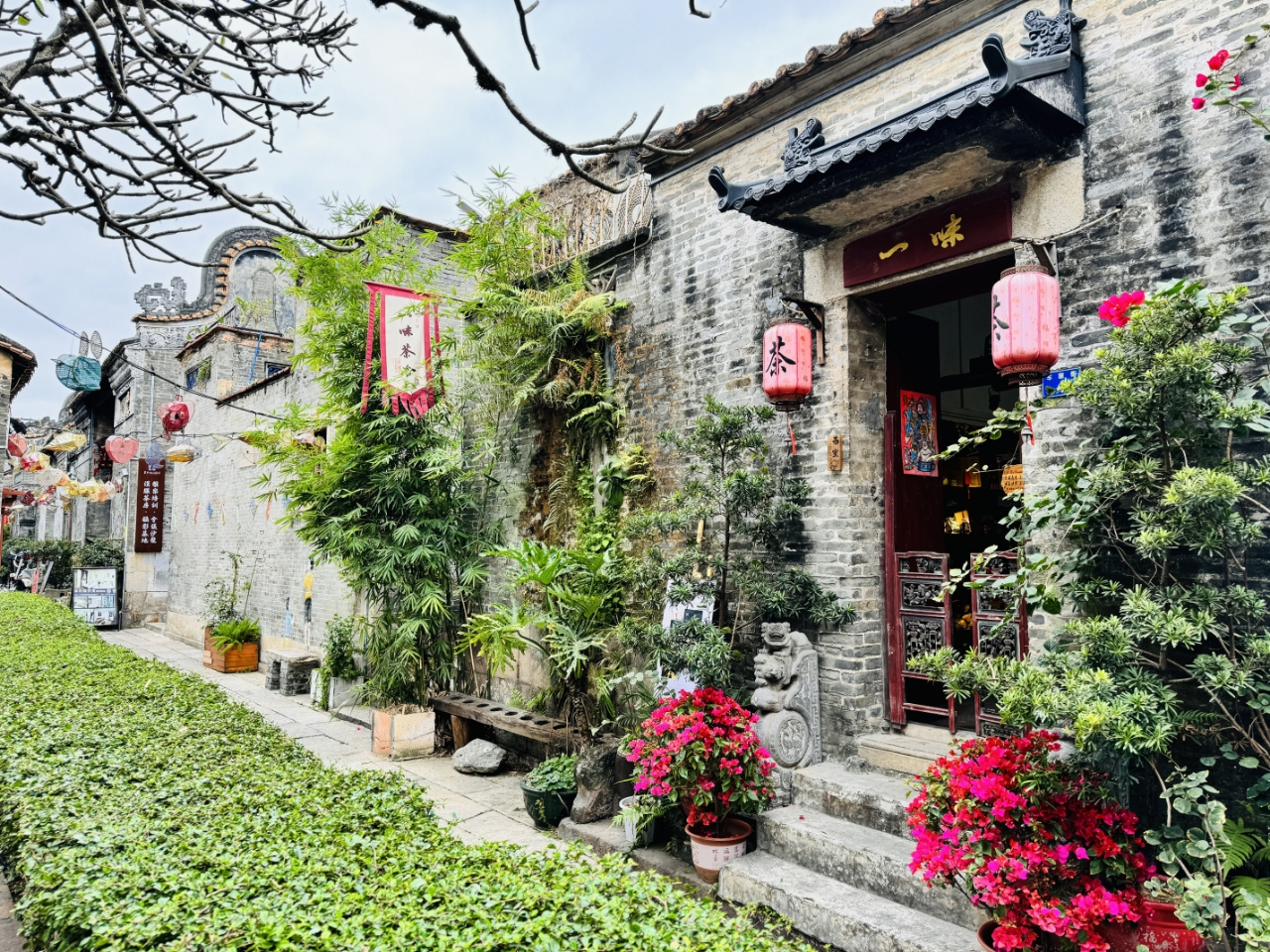 巾帼巧手扮靓方寸庭院,“五美”画卷铺展绿美广州_fororder_庭院7