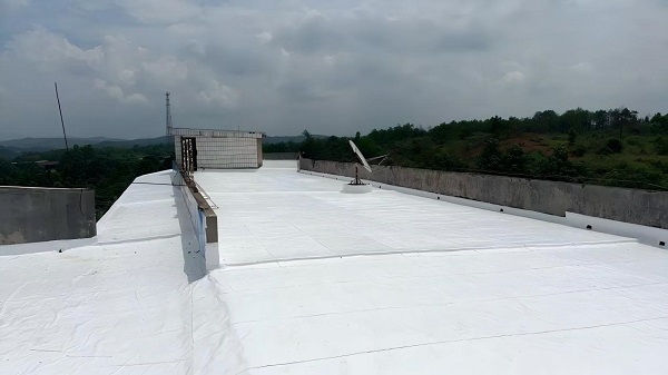 “荫凉益夏”可持续减碳行动落地湖南两所乡村校园 港城大FIRST项目启动首个技术试点