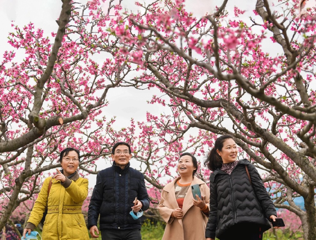春山爽居 花海畅游|“繁花”绽放“花经济”,为乡村振兴“增色添香”_fororder_dD0xNzczNjY0NTEzX3I9OTcxN2U3NzBfdz0xMDgwX3E9MTAwX2U9anBn