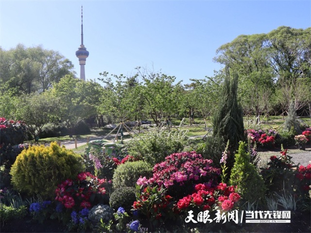 花绽京华 茶韵流芳，贵州在京奏响文化“三重奏”