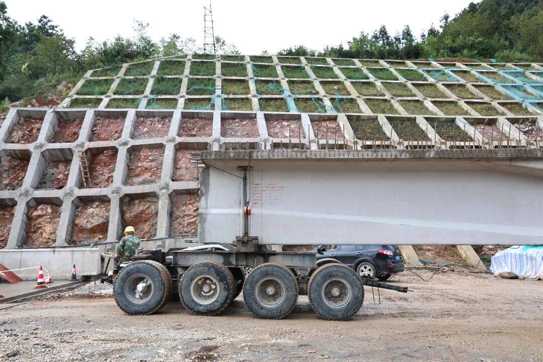 来自安盘高速建设工地的报道丨巨龙穿越“花木树”