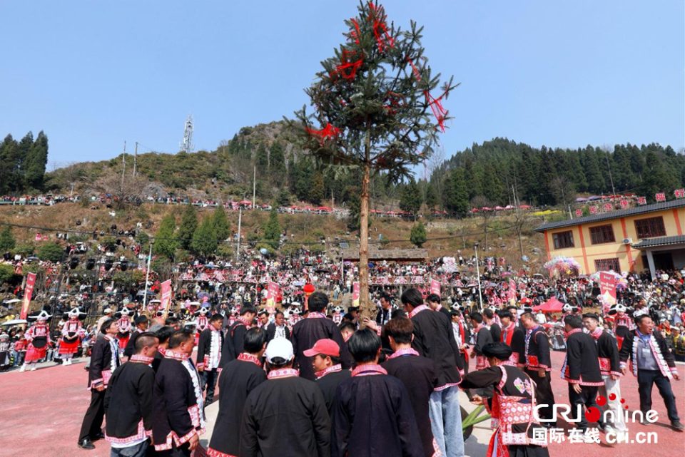 六盘水市六枝特区梭戛乡举行苗族“跳花节”活动_fororder_图片4
