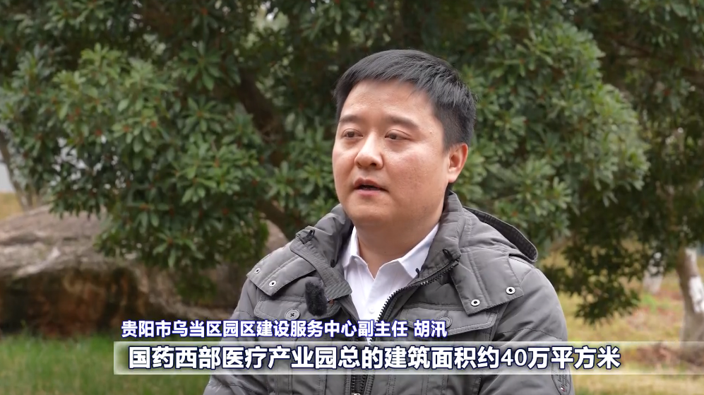 贵阳市乌当区:加快健康医药产业体系建设 助力区域经济发展
