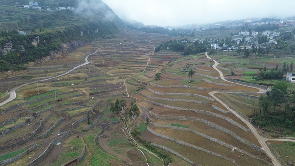 贵州仁怀:30万亩冬闲田不闲 “高粱+”轮作土地生金_fororder_仁怀市学孔镇高峰社区高标准农田.JPG