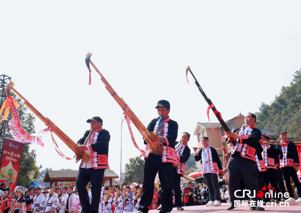 六盘水市六枝特区梭戛乡举行苗族“跳花节”活动_fororder_图片5